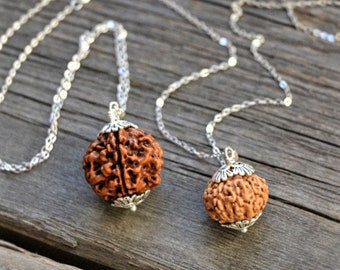 Rudraksha Pendant, Natural and Certified Nepal 12 Mukhi/ Face Rudraksha and 6 Mukhi/ Face Rudraksha Pendant in 925 Sterling Silver