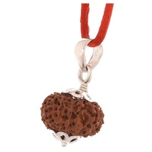 Op de afbeelding: Een bruine rudraksha-parel hanger met zilveren accenten, hangend aan een rood koord.