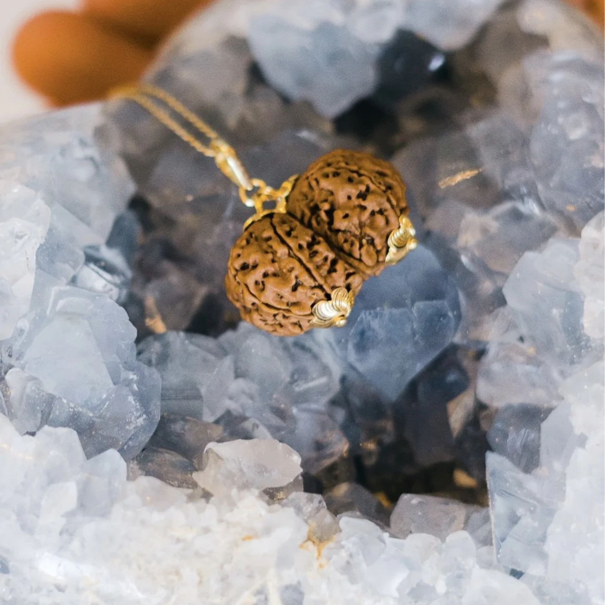 Rudraksha Pendant, Natural Certified Nepal Gauri Shankar Rudraksha in ...