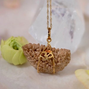 One Mukhi Rudraksha Pendant, Natural and Certified Cashew Shape 1 Mukhi/Face Rudraksha Pendant in (Alloy) Panchdhatu and 9k Gold Metal
