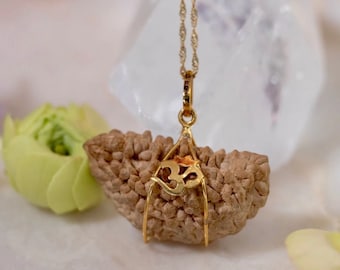 One Mukhi Rudraksha Pendant, Natural and Certified Cashew Shape 1 Mukhi/Face Rudraksha Pendant in (Alloy) Panchdhatu and 9k Gold Metal