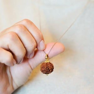 7 Mukhi Rudraksha Pendant, Natural Nepal Seven Mukhi/Face Rudraksha Pendant in Panchdhatu and 9k Yellow Gold with Certificate