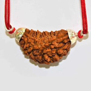 One Mukhi/ Face Rudraksha Pendant- 100% Natural and Certified Cashew 1 Face/ Mukhi Rudraksha Pendant in 925 Sterling Silver