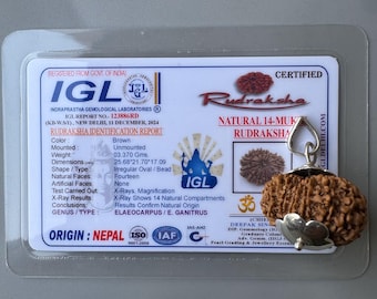 Natural & Certified 14 Mukhi/Face Rudraksha Pendant in Silver Metal for Men and Women | Original Nepal | Lord Kartikeya | Mars - Venus