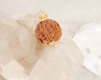 Wisiorek Rudraksha - Wisiorek Ganesh Rudraksha, naturalny, certyfikowany nepalski wisiorek Ganesha Rudraksha ze stopu (Panchdhatu) i 9-karatowego żółtego złota