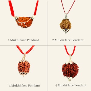 100% Original Certified Nepal Rudraksha 1 Mukhi to 19 Mukhi Rudraksha Pendant Made in Sterling Silver Pendant For Unisex