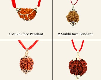 100% Original Certified Nepal Rudraksha 1 Mukhi to 19 Mukhi Rudraksha Pendant Made in Sterling Silver Pendant For Unisex