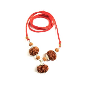 Rudraksha Pendant, Natural and Certified 5, 8, 9, 10 Mukhi/ Face Rudraksha Pendant in Silver, Kaal Sarp Dosh Nivaran Kavach