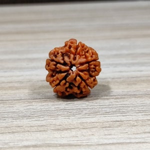 100% Original Loose 5 Mukhi/ Face Rudraksha, Lab certified Loose Nepal Five Face/ Mukhi Rudraksha Bead, Panchmukhi Prayer Bead,