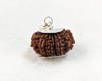 ルドラクシャマーラー　トップ　ガウリシャンカール　14ムキ　② ルドラクシャマーラー トップ ガウリシャンカール 14ムキ ② - メルカリ