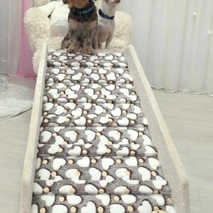 dog ramp, dog step, pet ramp, adjustable dog ramp, ramps for small dogs, guarded ramp, dog ramp with guards