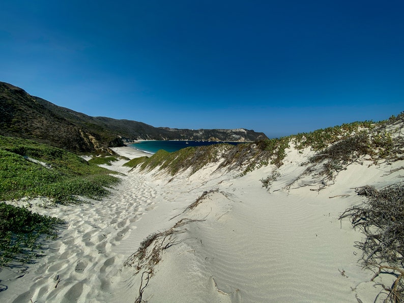 Puede incluir: Un camino de arena conduce a una playa con agua azul clara y una costa rocosa en la distancia. El camino est&aacute; bordeado de arbustos verdes y la arena es blanca y pulverulenta.