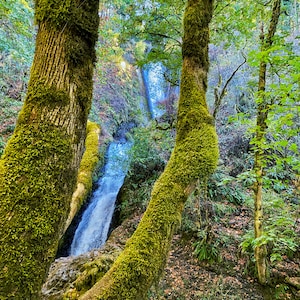 Bridal Veil Falls, along the Columbia River Gorge in Oregon