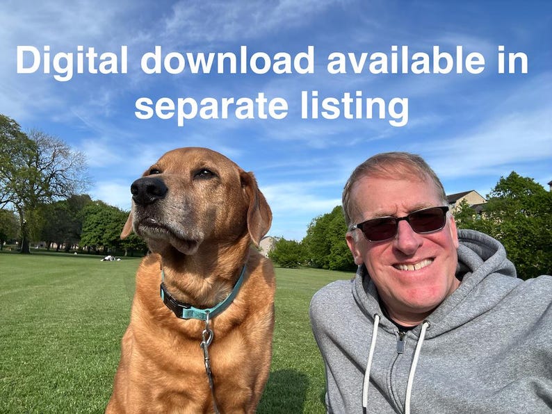 San Miguel Island, Channel Islands National Park, California…digital download also available image 2