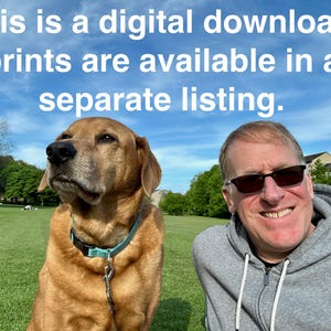 Isla San Miguel, Parque Nacional de las Islas del Canal, California imagen 2