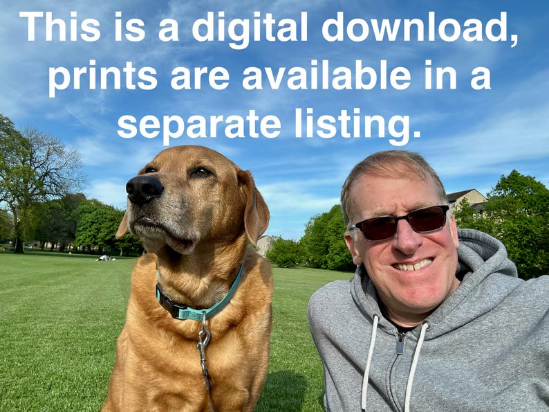 Isla San Miguel, Parque Nacional de las Islas del Canal, California imagen 2