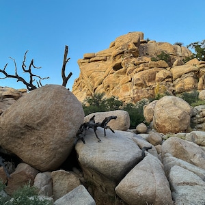 Trail to Barker Dam at Joshua Tree National Park, California