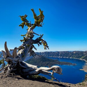 Crater Lake National Park, southern Oregon…digital download also available for 9 dollars