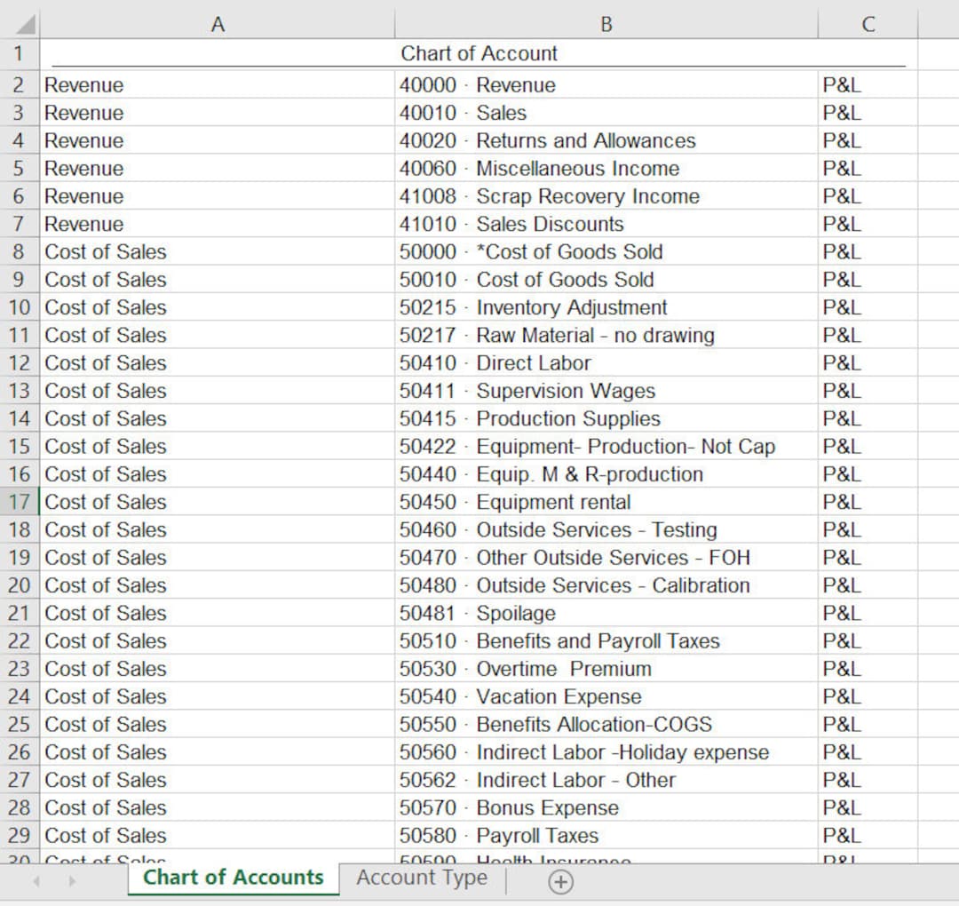 Chart of Accounts Digital Download Compatible With Google Sheets/excel 