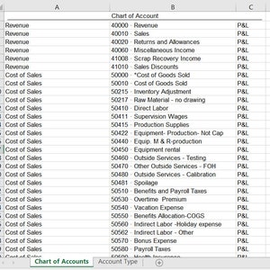 Chart of Accounts - Digital Download - Compatible with Google Sheets/Excel
