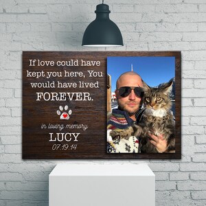 Op de afbeelding: Een houten gedenkdoek met een foto van een man die een kat vasthoudt. De tekst luidt: "Als liefde je hier had kunnen houden, zou je VOOR ALTIJD hebben geleefd. In liefdevolle herinnering LUCY 07.19.14"