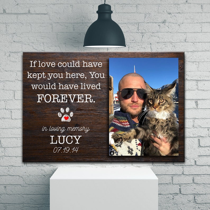 Op de afbeelding: Een houten gedenkdoek met een foto van een man die een kat vasthoudt. De tekst luidt: "Als liefde je hier had kunnen houden, zou je VOOR ALTIJD hebben geleefd. In liefdevolle herinnering LUCY 07.19.14"