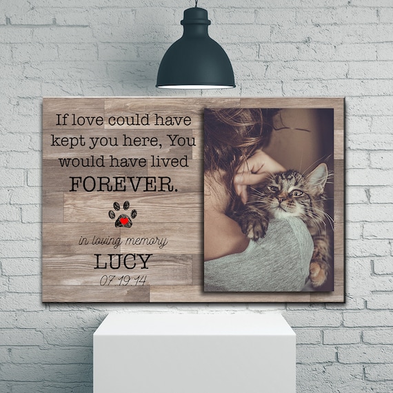 Custom Photo Pet Loss Canvas, Personalized Pet Memorial Canvas, Cat Loss Gift, Pet Bereavement, Pet Sympathy Would Have Live Forever Canvas