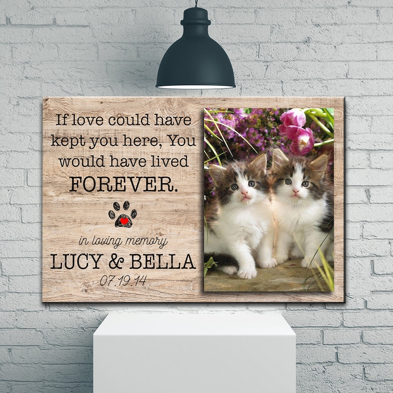 Op de afbeelding: Een houten gedenkplaat met een pootprint en een rood hart, met de tekst "Als liefde je hier had kunnen houden, zou je voor ALTIJD hebben geleefd." De plaat bevat ook de tekst "in liefdevolle herinnering LUCY & BELLA 07.19.14" en een foto van twee witte en bruine kittens.