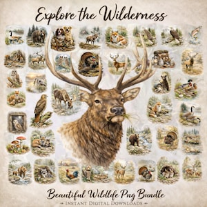 Könnte beinhalten: Ein digitaler Kunstdruck mit dem Titel "Explore the Wilderness" mit einem zentralen Elch, umgeben von verschiedenen Wildtierillustrationen. Das Kunstwerk umfasst Bären, Füchse, Hirsche, Vögel und andere Tiere. Der Text "Beautiful Wildlife Png Bundle" ist ebenfalls vorhanden.