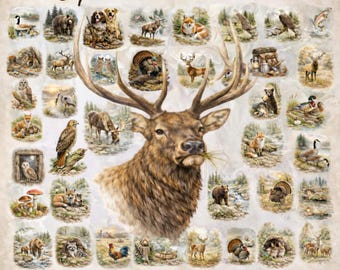 Bundle PNG de la faune de 49 - Clipart animaux de la forêt, wapiti, cerf ours renard Art de la nature rustique, téléchargement immédiat haute résolution