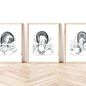 Cardinal Movements of Labor Series Set van vijf prints Geboorte / Doula / Vroedvrouw Art Printable