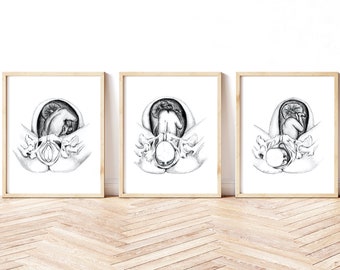 Cardinal Movements of Labor Series Set of Five Prints Birth/Doula/Midwife Art Printable
