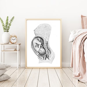 Ungeborenes Kind im Mutterleib: Geburt/Doula Kunstdruck