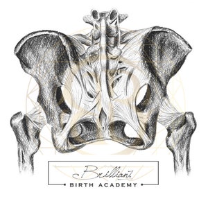 Posterior Pelvis: Birth/Doula Art Printable