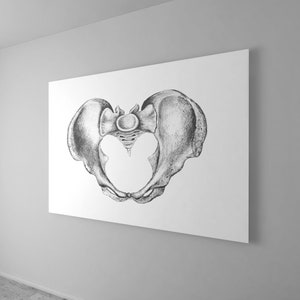 Female Pelvis: Birth/Doula Art Printable