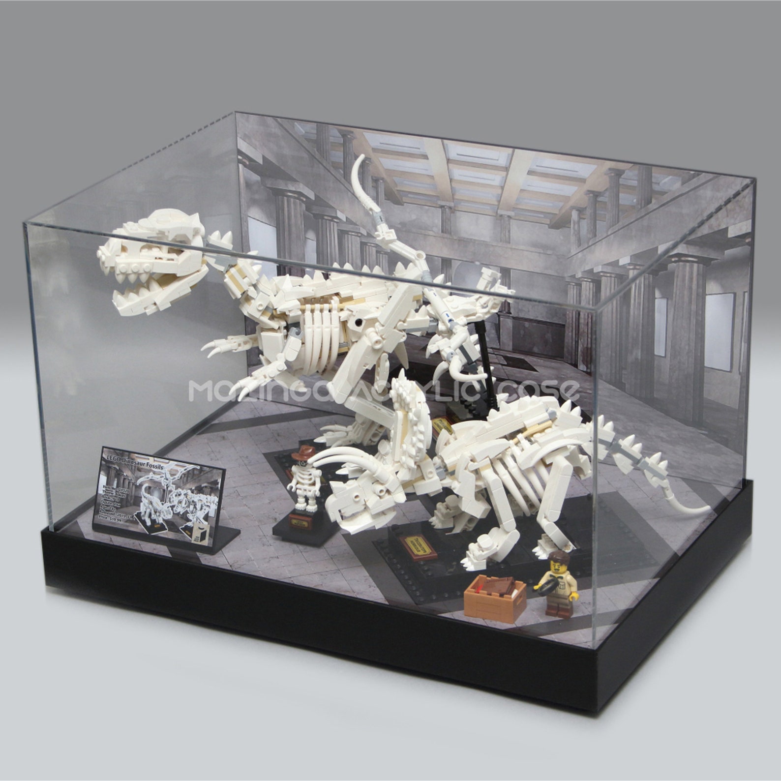 Dinosaur Fossils Acrylic Display case for the LEGO 21320 | Etsy