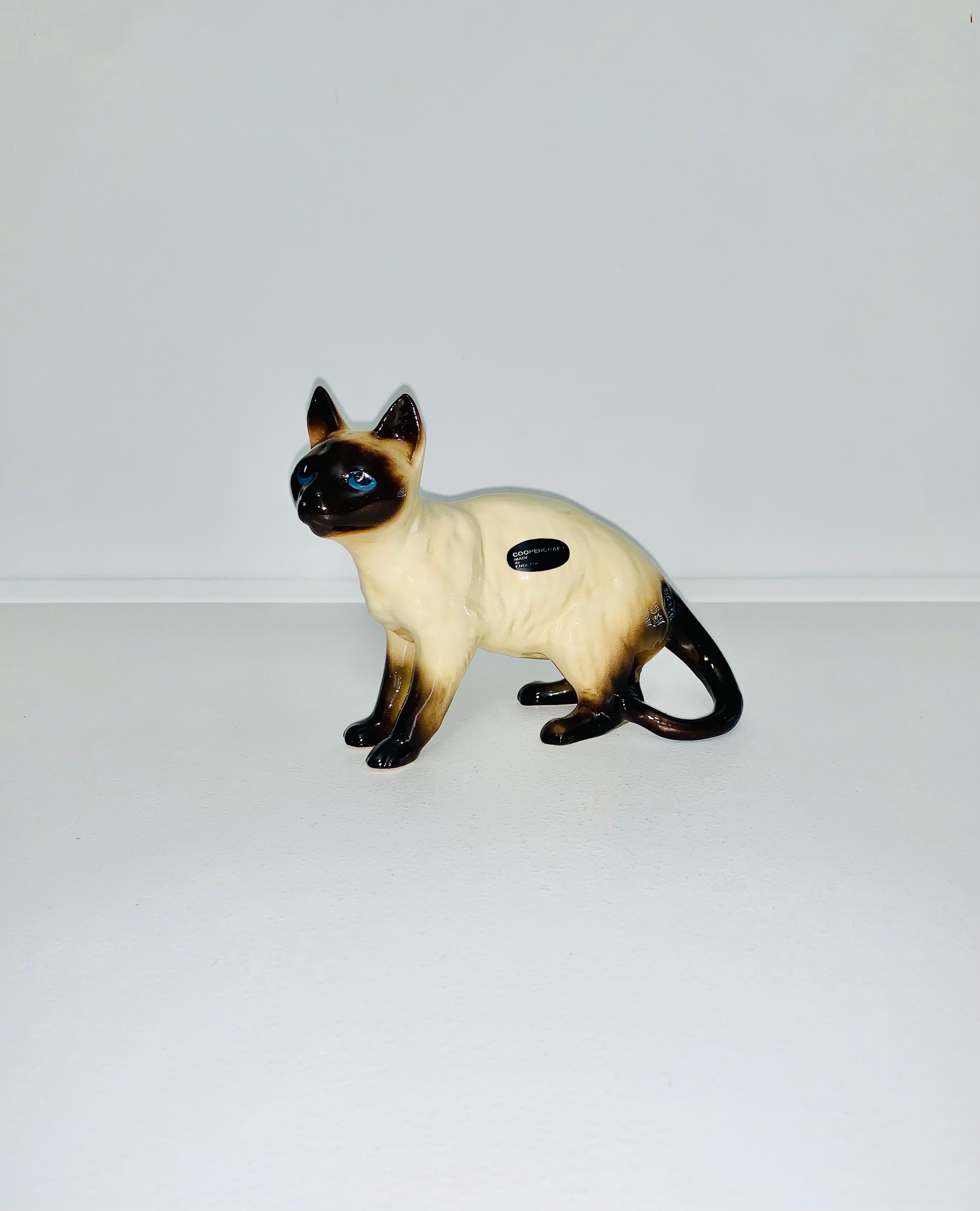 Preloved siamese sales