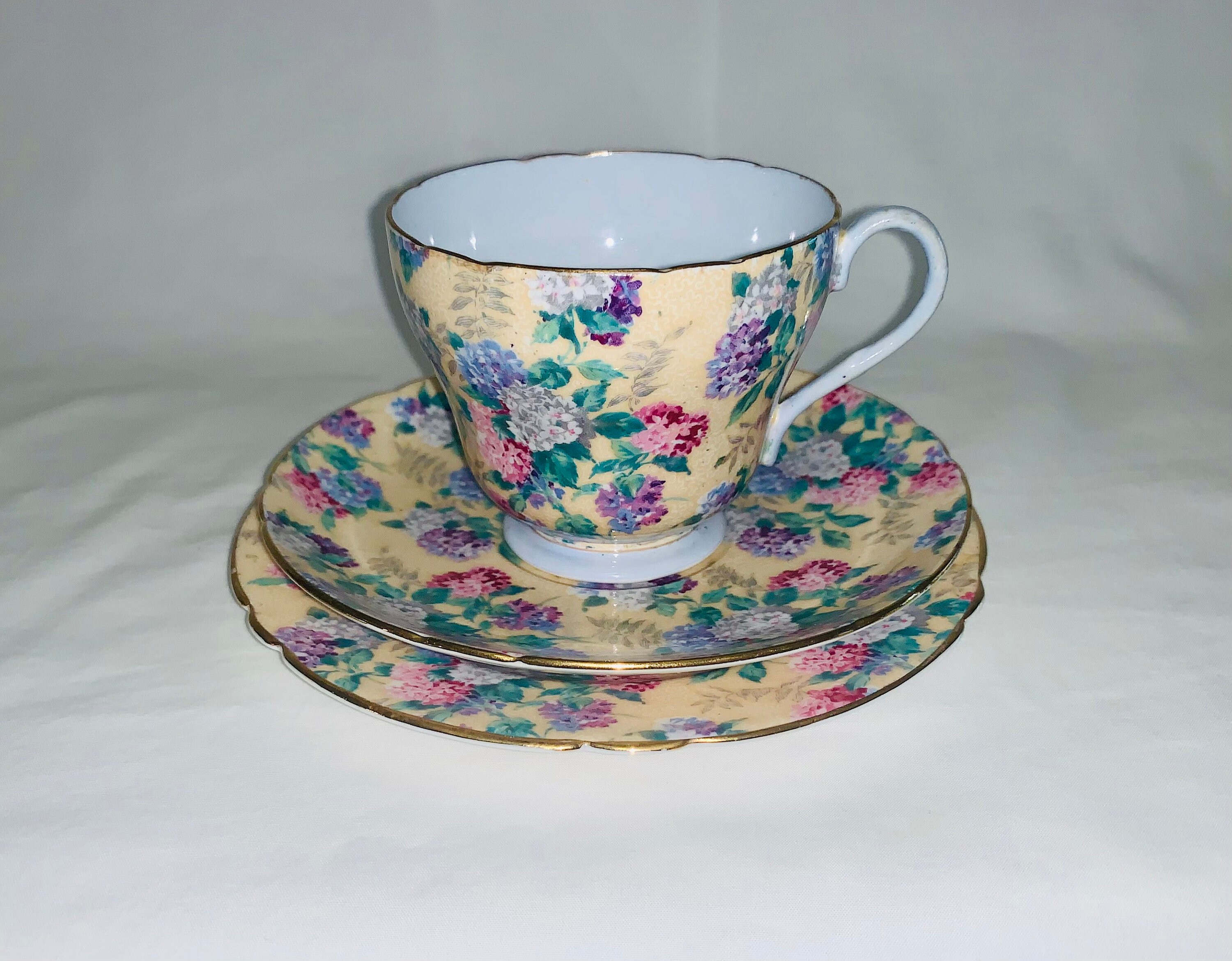 Rare Shelley Fine Bone China Chintz "Floral Chintz" Cup and Saucer