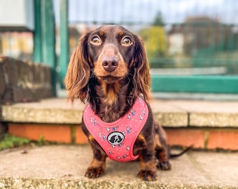 May include: A brown and black dachshund wearing a pink dog harness with a colorful pattern. The harness has a black and white logo with the text "Doggy Style".