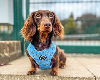 Closing Sale! Last Chance Clearout: Reversible Harness,  Blue Wonderfurry "Sporty Doggy" dog harness, for Dogs, Cats, cute Harness