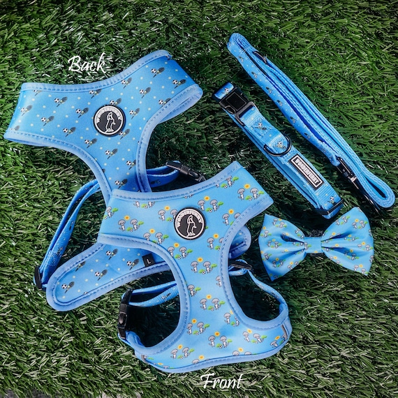 Reversible Dog Harness Collar Lead Set: Blue Sporty Dog Design