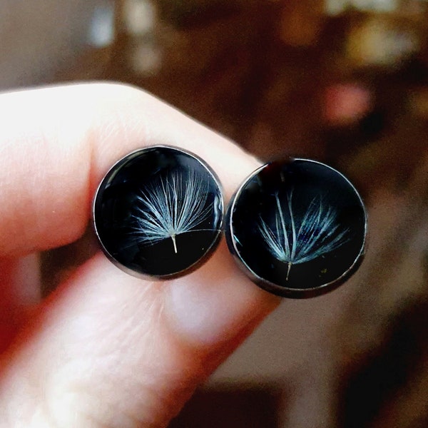 Ohrstecker echte Pusteblume, schwarz Silber Edelstahl