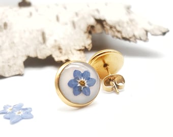 Pendientes de nomeolvides, redondos, flores de nomeolvides auténticas en oro o plata