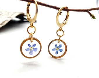 Earrings real forget-me-nots l Gold or silver l Hanging earrings real flowers in epoxy resin