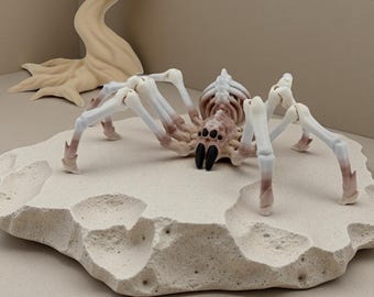 Ragno scheletrico stampato in 3D - Ragno scheletro articolato, decorazione inquietante snodabile, Halloween Fidget