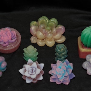 May include: Assortment of colourful handmade succulent and cactus soap decorations. The soaps are in various shapes and sizes, including a round pot with a pink flower, a green cactus in a brown pot, and a cluster of green and purple succulents.