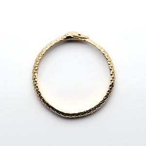 Brass Ouroboros Ring: Serpent Mythology Jewelry