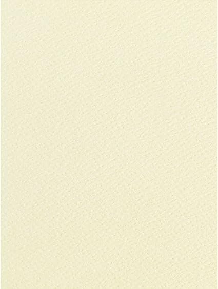 Pen + Gear Ivory Resume Paper, 24lb/89gsm, Laid Finish, 8.5 x 11 Inches, 100 Sheets