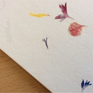 Wild Flowers Petal Craft Paper  A4 120gsm Pack of 10 sheets