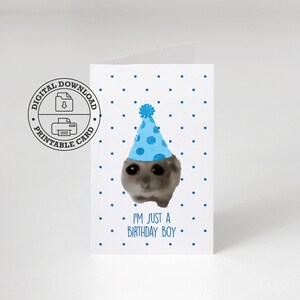 Tarjeta de cumpleaños digital de hámster triste / Bricolaje impreso en casa / Sombrero de fiesta azul / Meme viral de las redes sociales / Sólo soy un cumpleañero